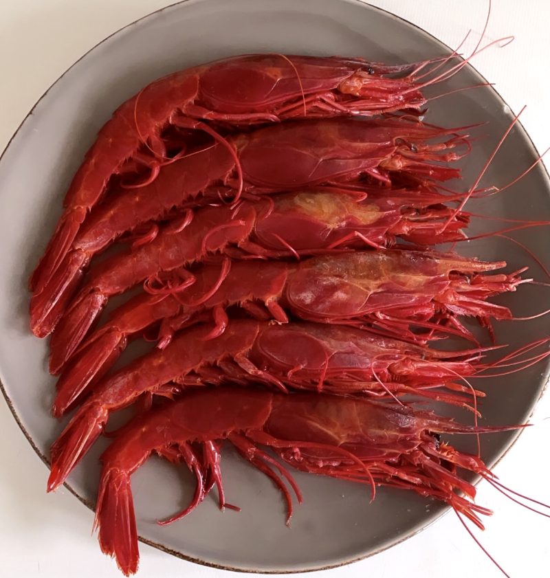 Carabineros EXTRA