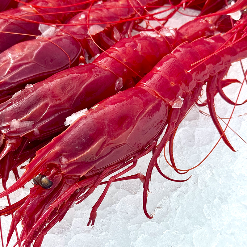 Carabineros - Imagen 2