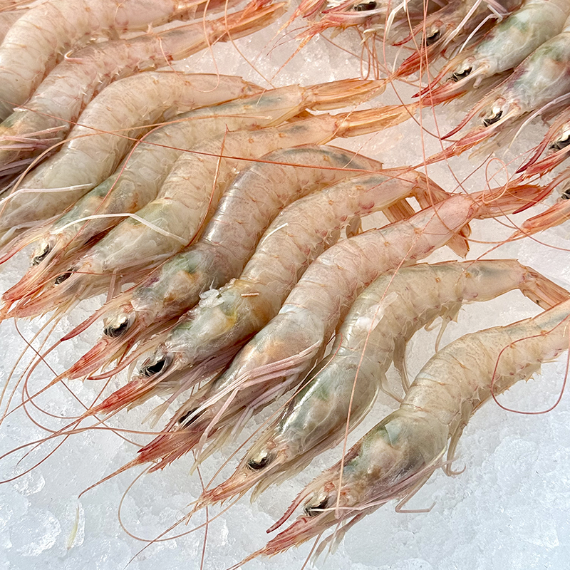 Gambas blancas de Huelva - Imagen 2