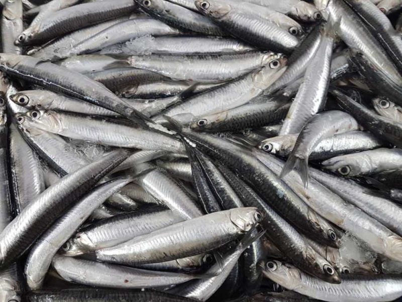 Boquerones