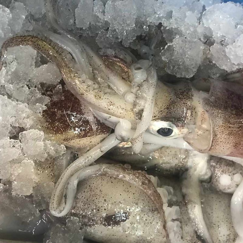 Calamares
