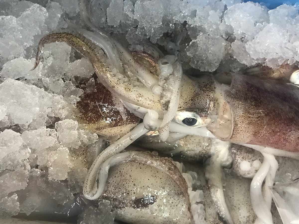 Calamares