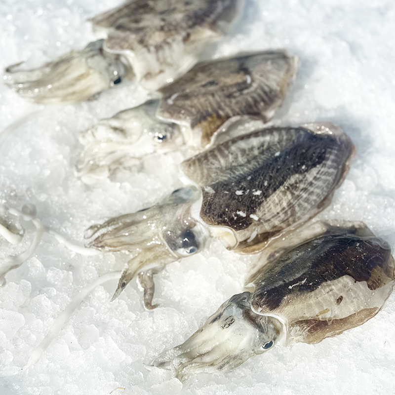 Chocos de Huelva - Imagen 2