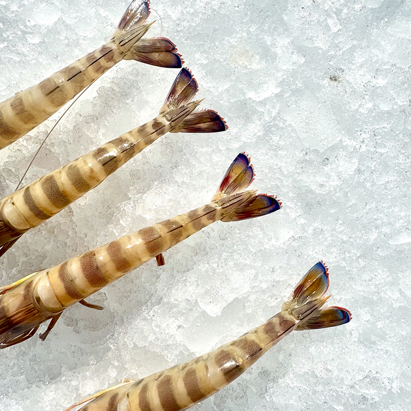 Langostinos de Sanlúcar - Imagen 2