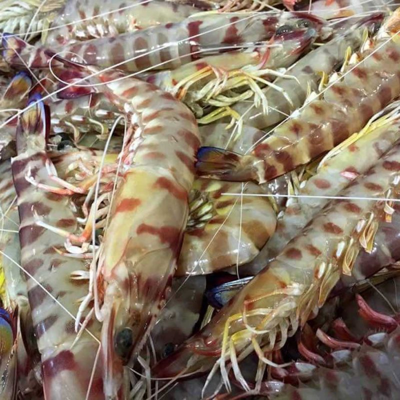 Langostinos de Sanlúcar