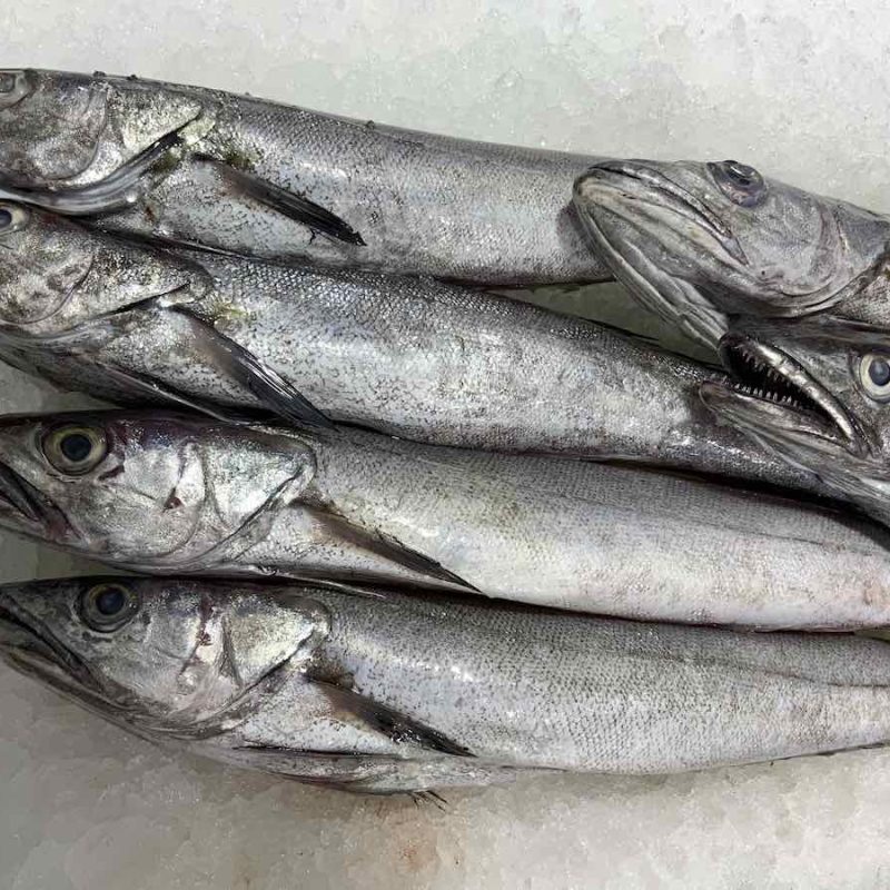 Merluza / Pescadilla